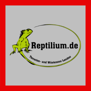 Reptilium Landau